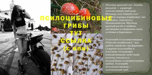 гашиш Краснотурьинск