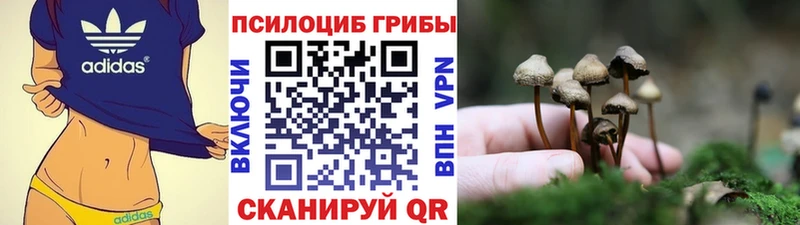 Псилоцибиновые грибы Magic Shrooms Унеча