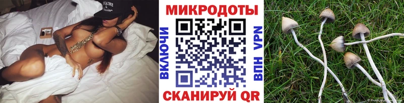 Галлюциногенные грибы мицелий  гидра рабочий сайт  Унеча 