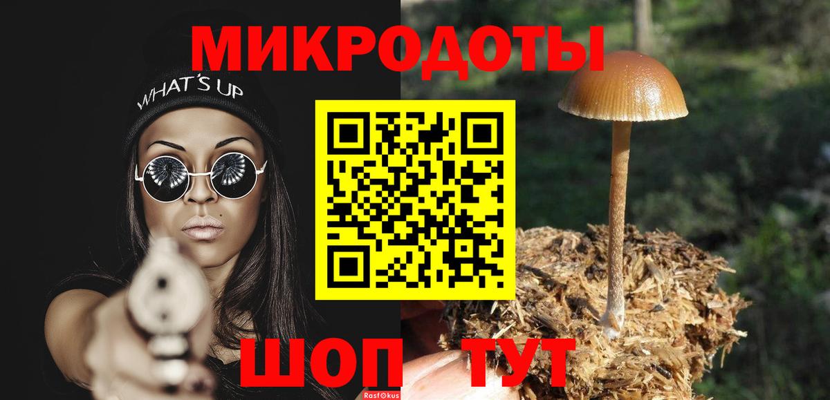 Псилоцибиновые грибы Psilocybe  Вход с VPN  даркнет сайт  Унеча 
