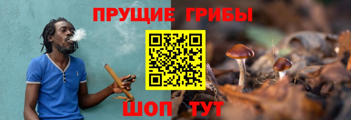 Меф Унеча